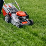 What is the Best Treatment for a Lawn?