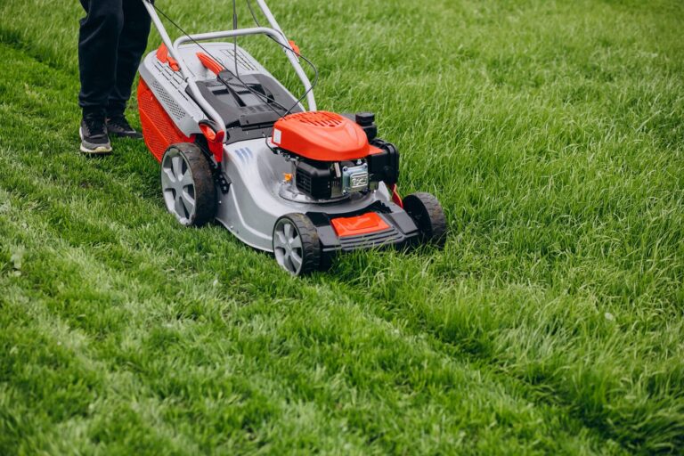What is the Best Treatment for a Lawn?