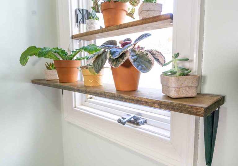 Shelves In Front Of Windows For Plants