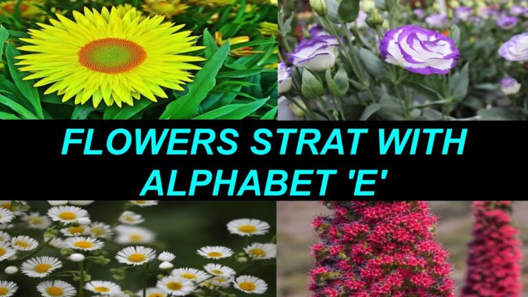 Flowers That Start With The Letter e