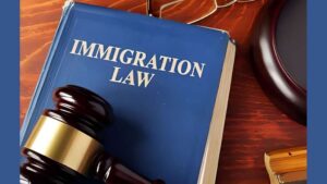 Immigration Attorney