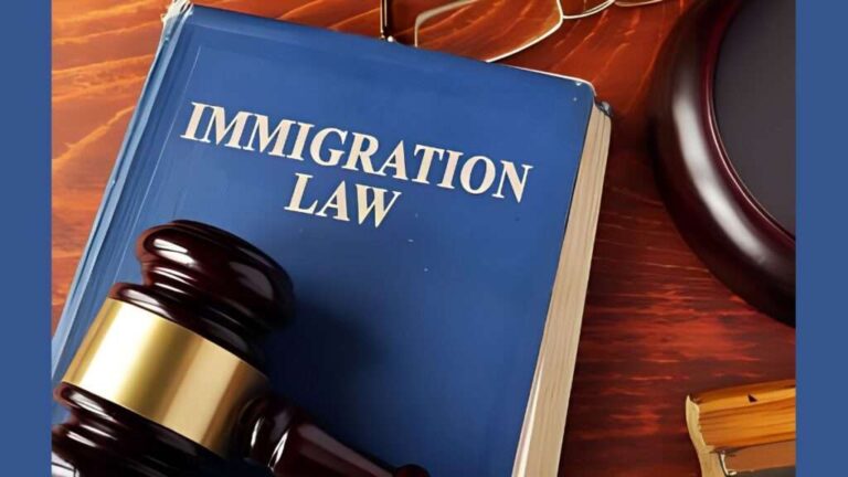 Immigration Attorney
